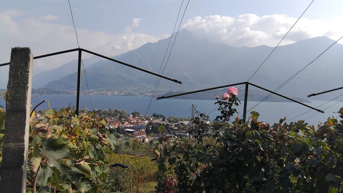 Sorsasso Tour 2